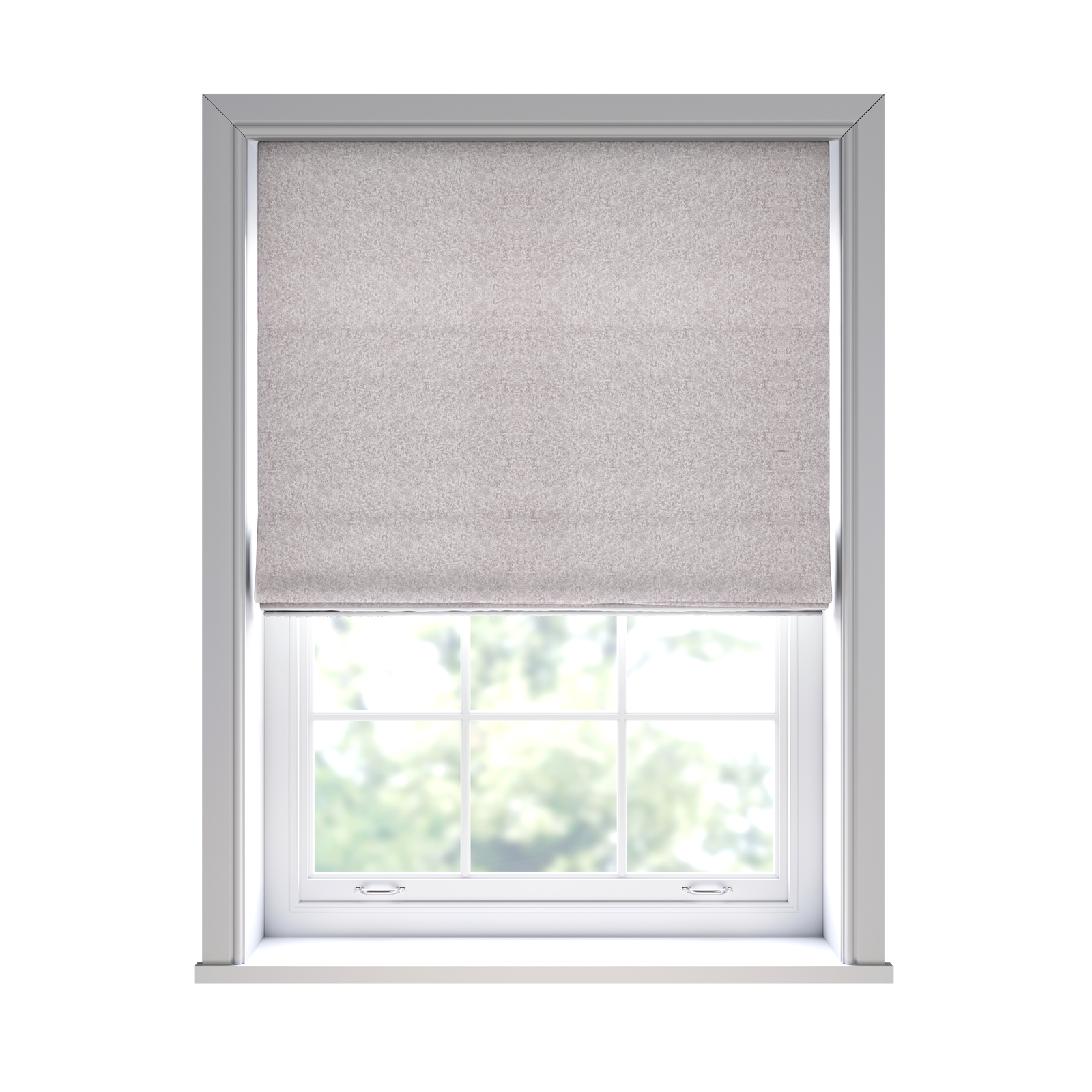 Capella Rose 1.4m